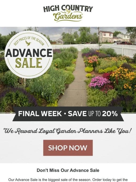 Advance Sale Final Week | Best Prices Of The Season