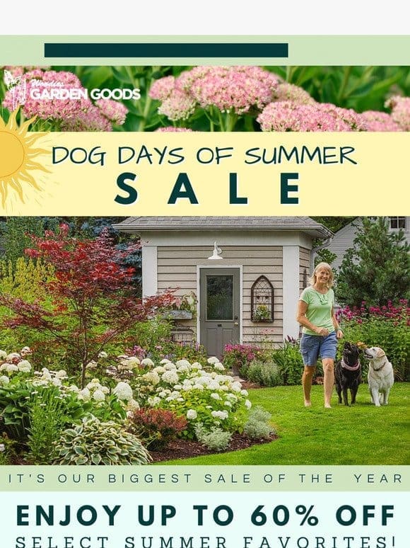 Annual Dog Days of Summer Sale Starts Now!