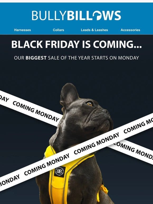 Black Friday Is Coming..
