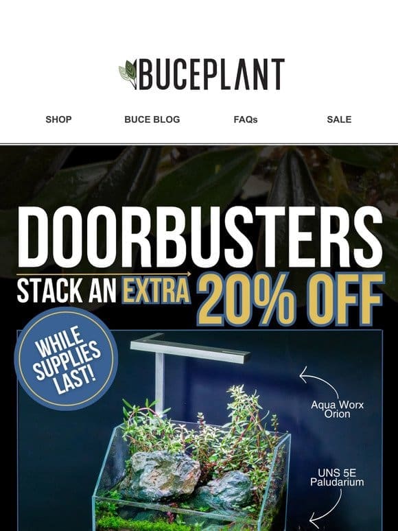 Buce’s Doorbuster Deals   SELL OUT IMMINENT!