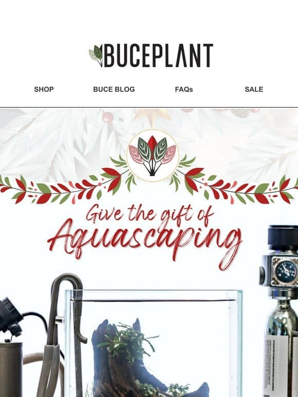 Buce’s Holiday DEALS: Stocking Stuffers + Free Shipping