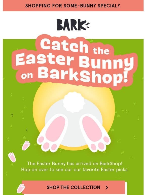 Catch the Easter Bunny on BarkShop