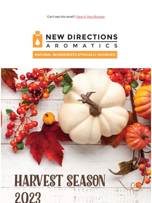 Celebrate Harvest Season with Our Autumn Essentials