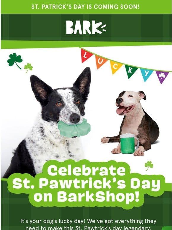 Celebrate St. Pawtricks Day on BarkShop