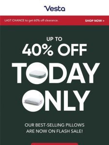 Christmas Flash Sale: Up to 40% Off Every Pillows (!!!)