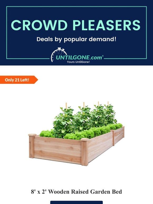 Crowd Pleasers – 73% OFF 8′ x 2′ Wooden Raised Garden Bed