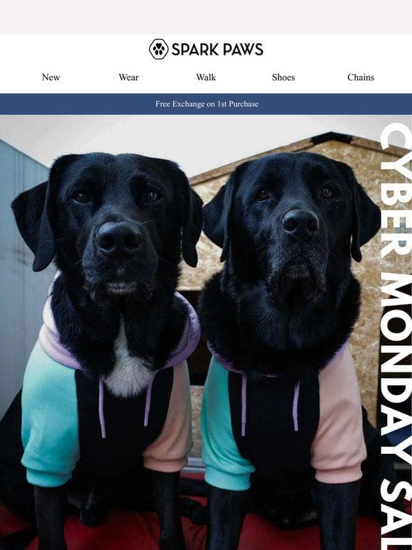 Cyber Monday Gift Guide For Pups