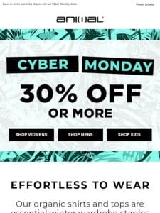 Cyber Monday Madness! 30% Off Or More