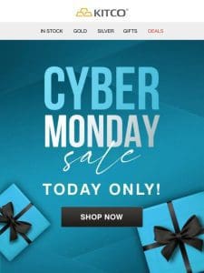 Cyber Monday Sale on NOW. Today ONLY!