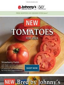 Delicious New Tomatoes