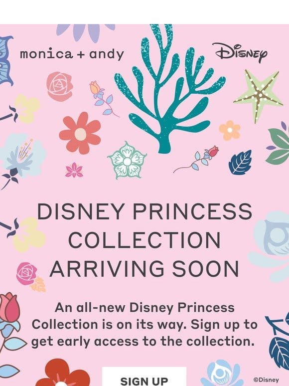 Disney Princesses Arriving SOON