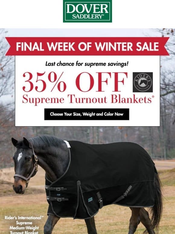 Don’t Miss the Final Week of Our Winter Sale
