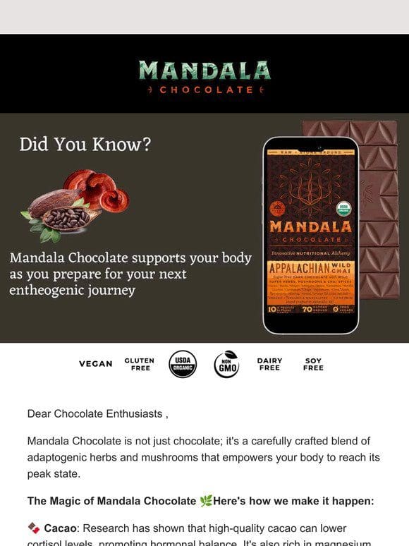 Elevate Your Journey with Mandala Chocolate