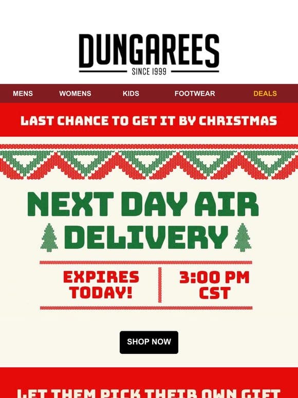 Ending Today: Next Day Air Christmas Delivery