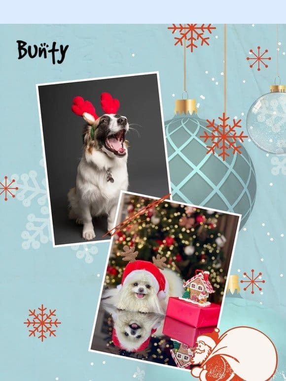 Fantastic Christmas Present Ideas For Your Dog!