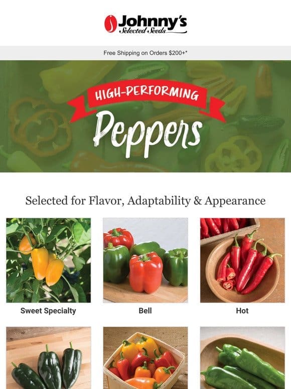 Fantastic Pepper Varieties for Your Region