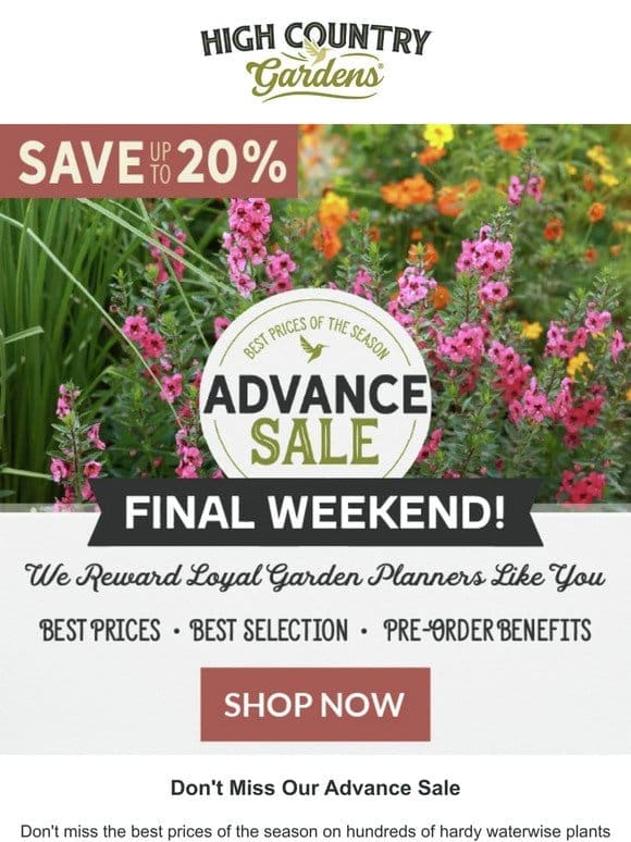 Final Weekend | Best Prices On Waterwise Plants