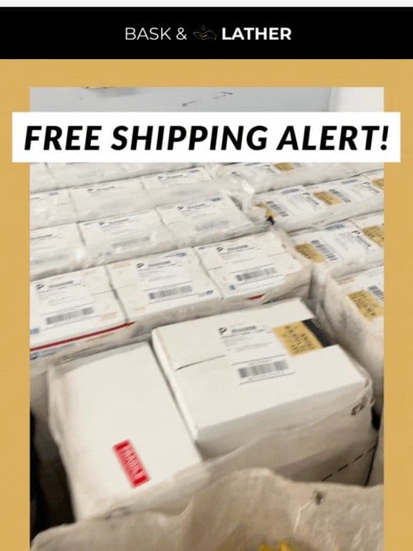 Free Shipping Alert- TODAY ONLY!!!