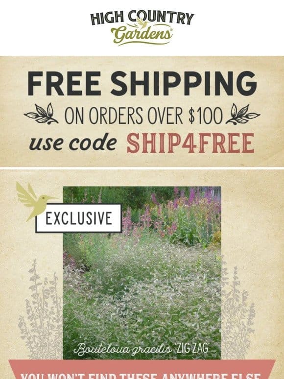 Free Shipping & Exclusive Plants