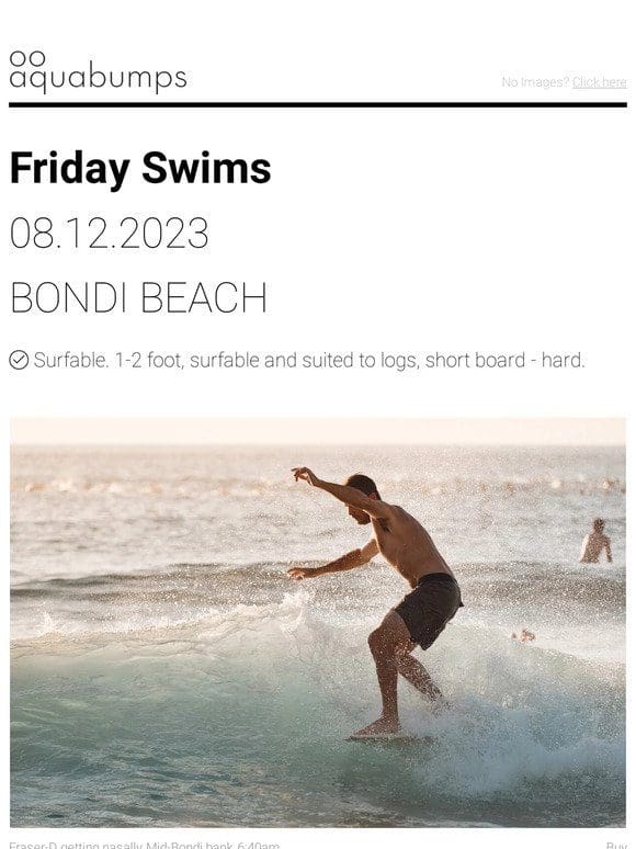 : : Friday Swims