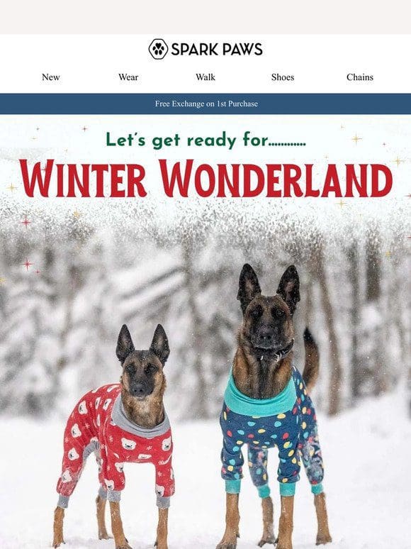 Get Ready for Winter Wonderland ❄️
