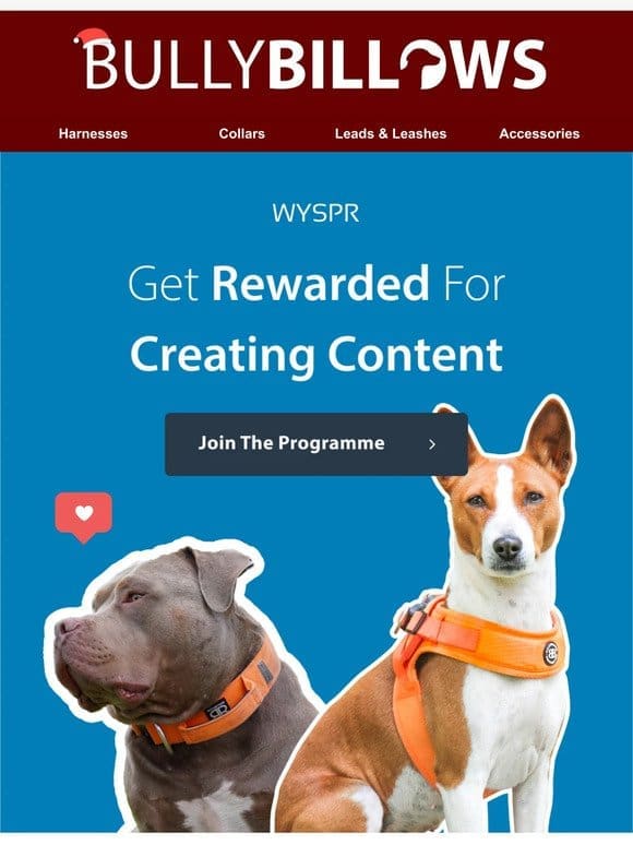 Get Rewarded For Creating Content!