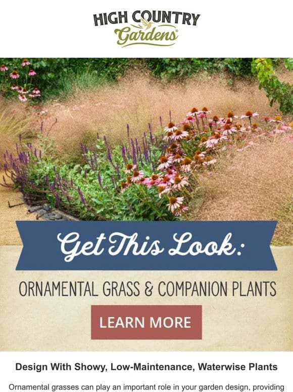Get This Look: Ornamental Grass & Companion Plants
