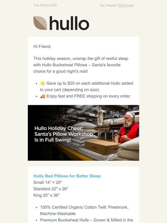 Get Your Holiday Shopping Done Early This Year with Hullo