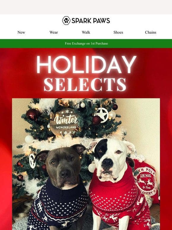 Give your pup the pawfect Xmas gift!