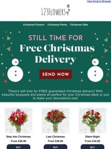 Guaranteed Christmas Delivery!