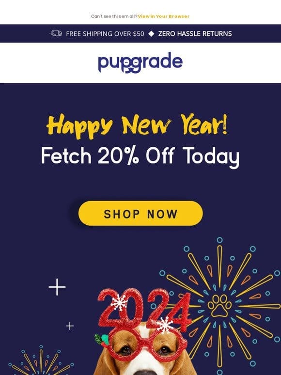 Happy New Year with 20% OFF! ✨