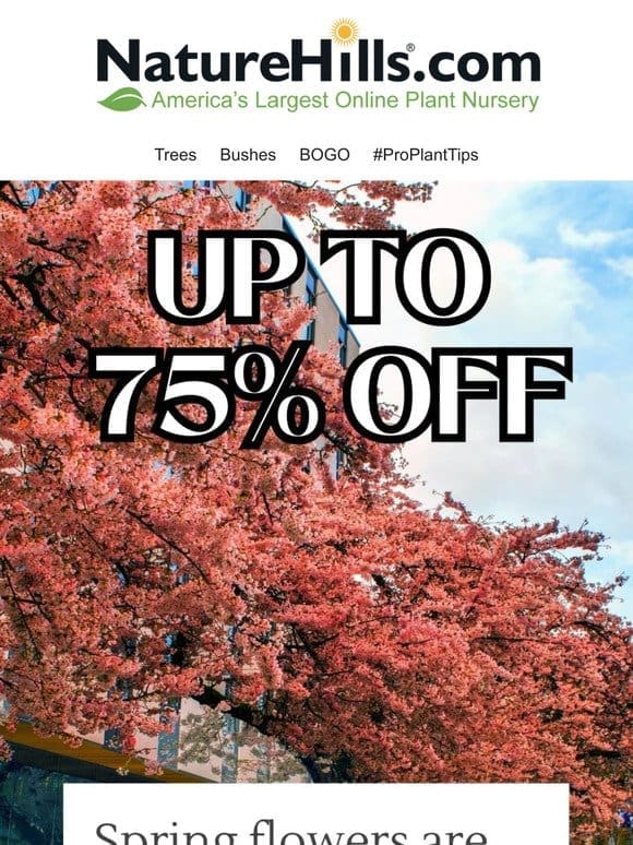 Hurry， up to 75% off plants continues…but not for long!
