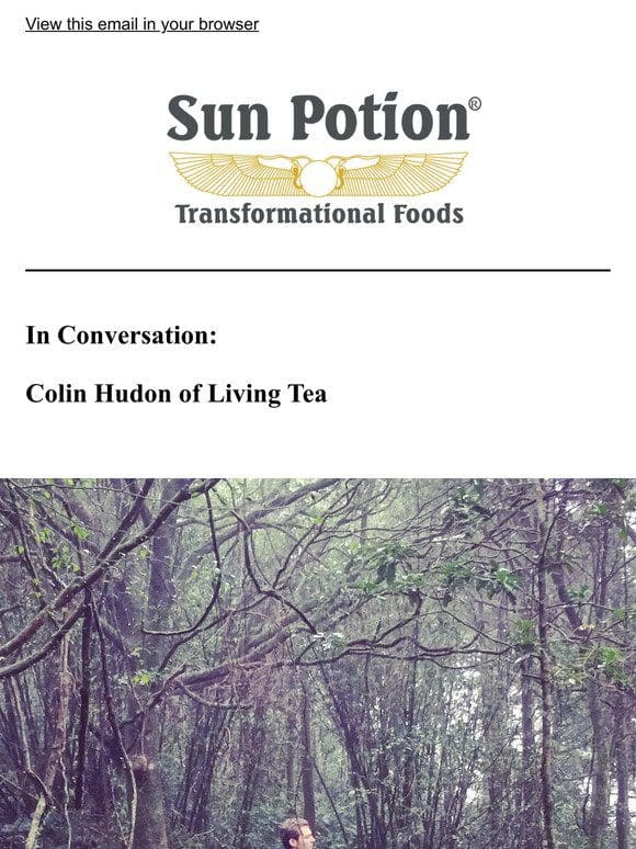 In Conversation: Colin Hudon of Living Tea