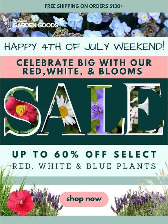 Independence Day Savings! Up To 60% OFF Select Red， White & Blue Plants!❤️