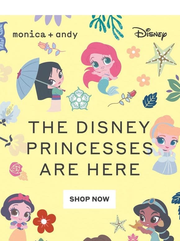 Introducing our NEW Disney Princess Collection!