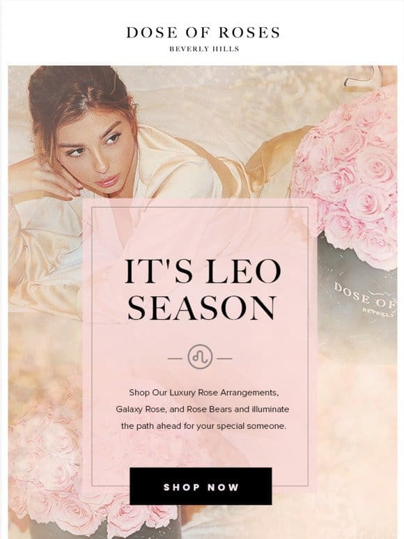 It’s Leo Season   See What We Have in Store for You!