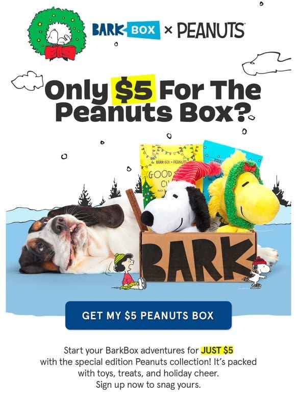 It’s not Black Friday. It’s $5 BarkBox Day.
