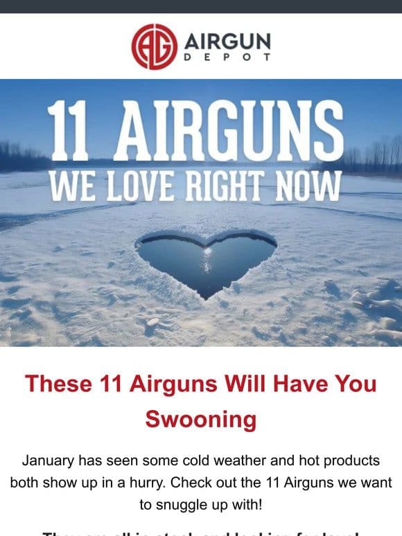 January Edition: 11 Airguns We Love