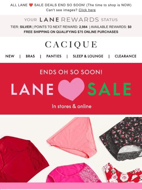 LAST CALL! 10/$39 PANTY LOVE ends in minutes