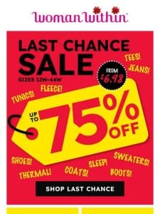 LAST CHANCE SALE!   Up To 75% Off Is On NOW!