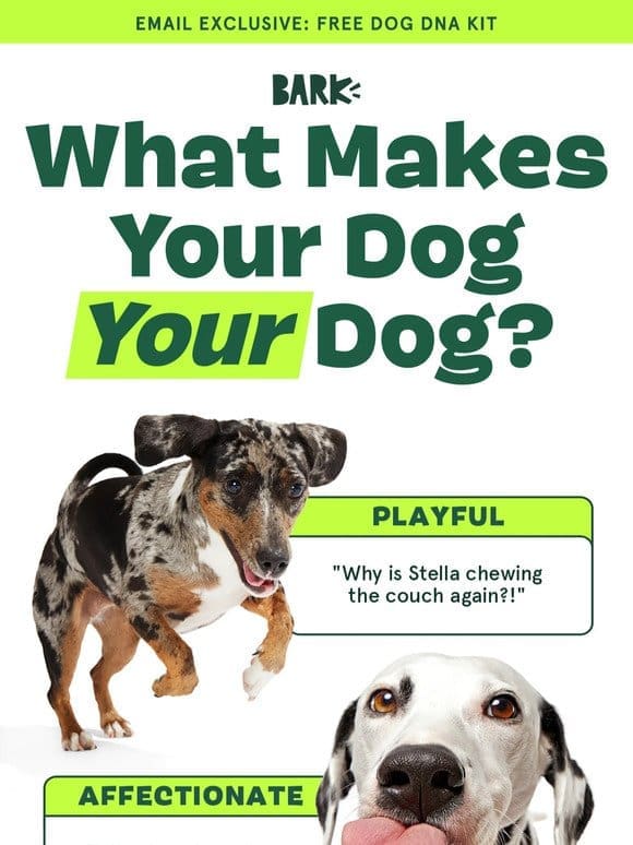 LAST CHANCE: Your dog’s FREE   test!