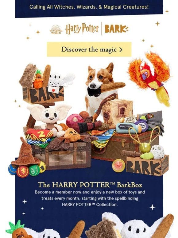 LIMITED TIME RESTOCK ✨ The HARRY POTTER™ BarkBox is back!