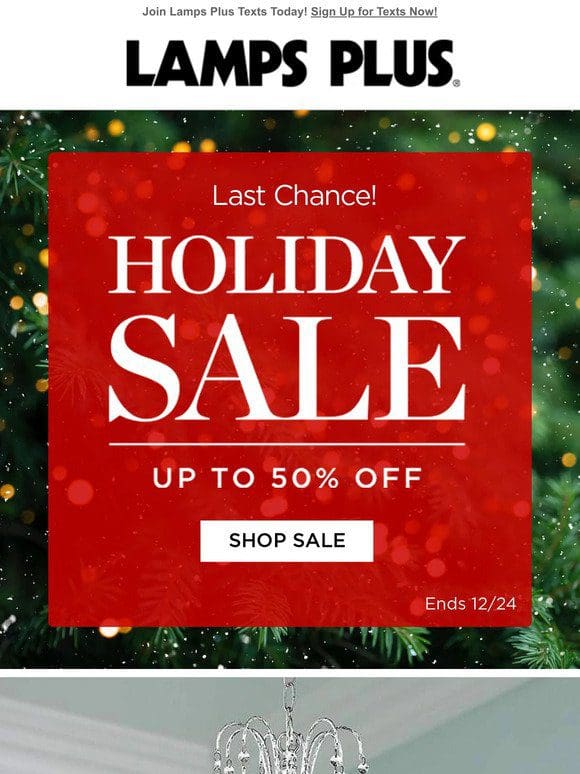 Last Chance! Shop Our Holiday Sale