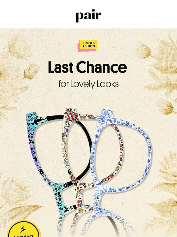 Last Chance for Love Book Looks