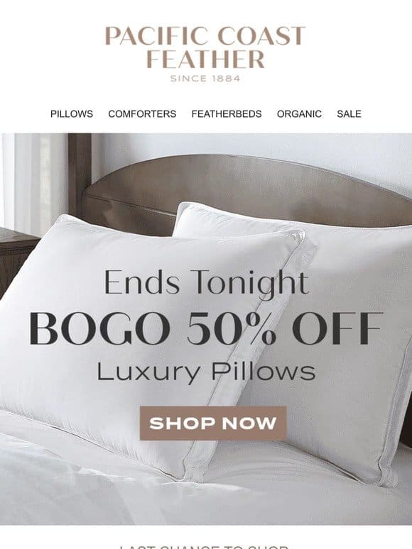 Last Chance to Shop The Pillow Flash Sale!