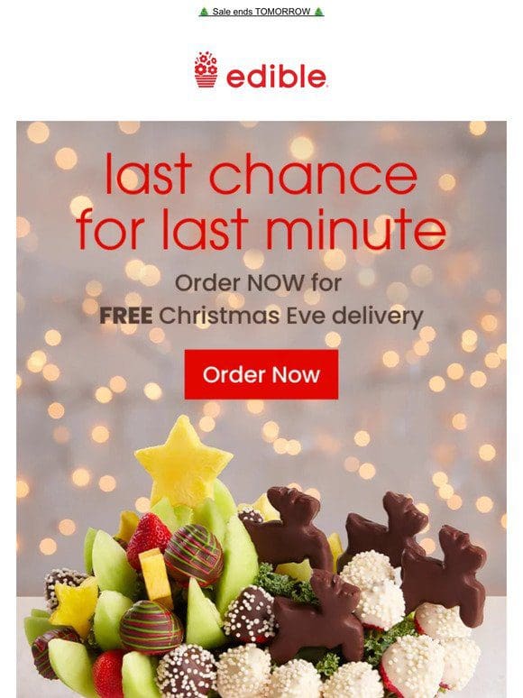 Last chance for FREE Christmas Eve delivery