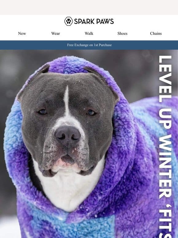 Level Up Your Dog’s Winter ‘Fits