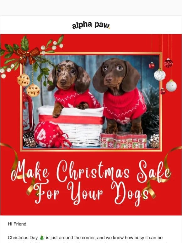 Make Christmas Safe For Your Dogs