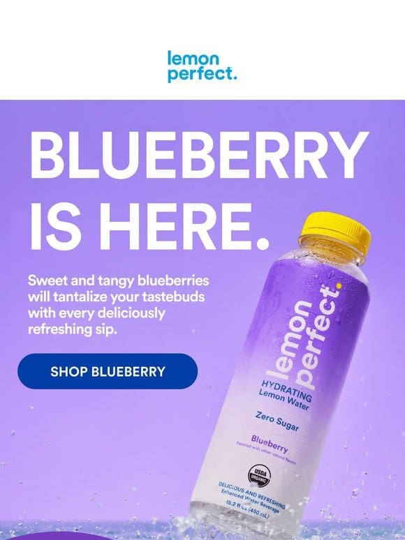 Meet Blueberry LP.