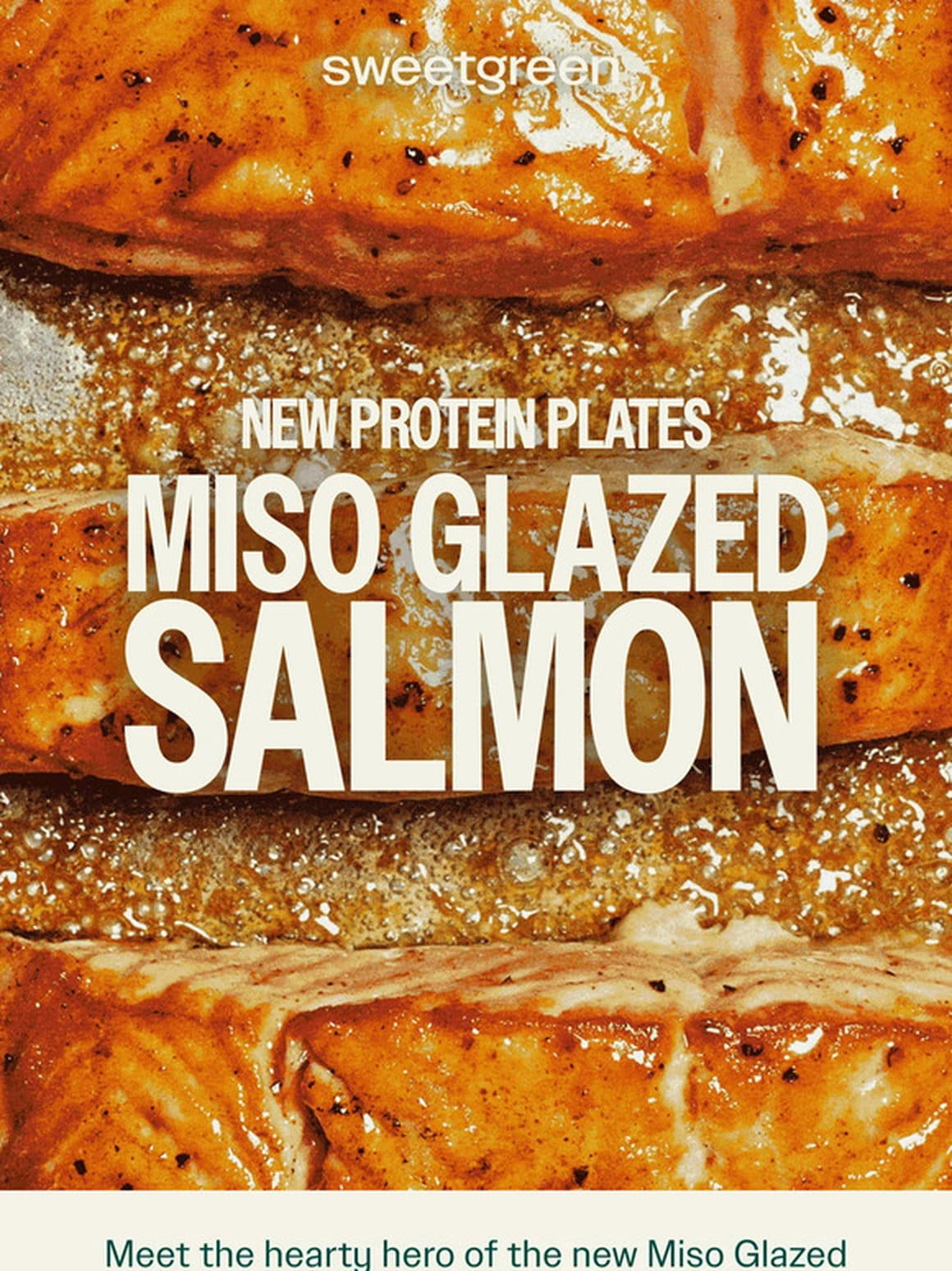 Meet the NEW protein plate